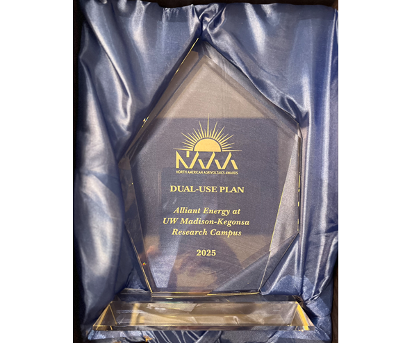 Kegonsa NAAA award.