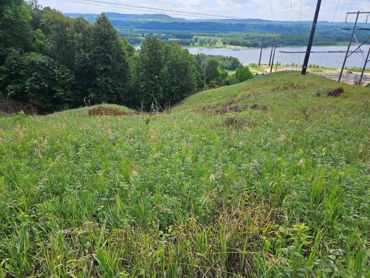 View from the bluff looking west toward the Mississippi River.
