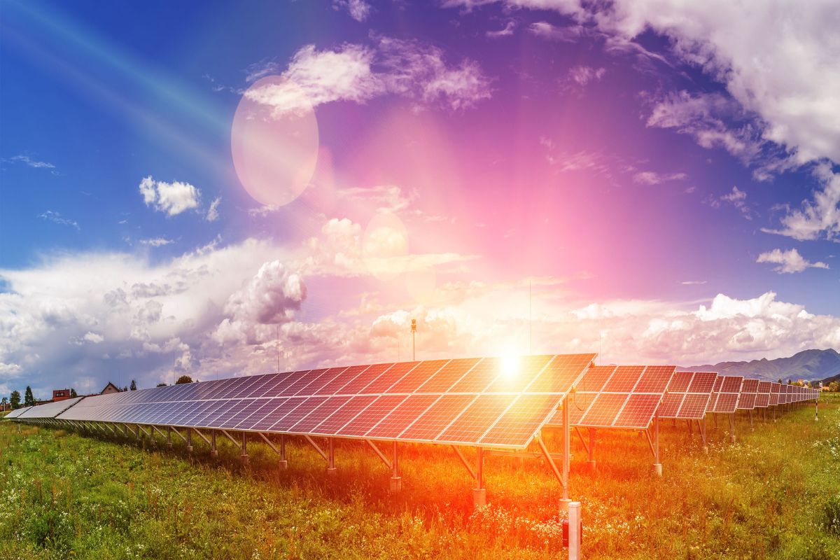 Sunset over an array of solar panels. 