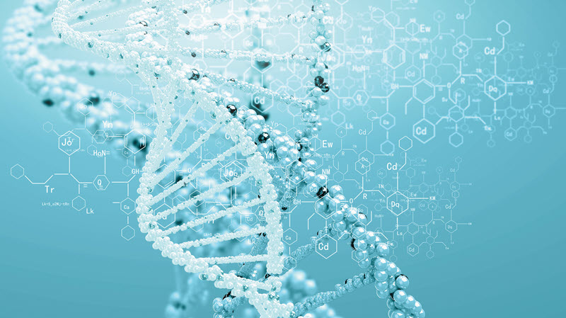 DNA strands